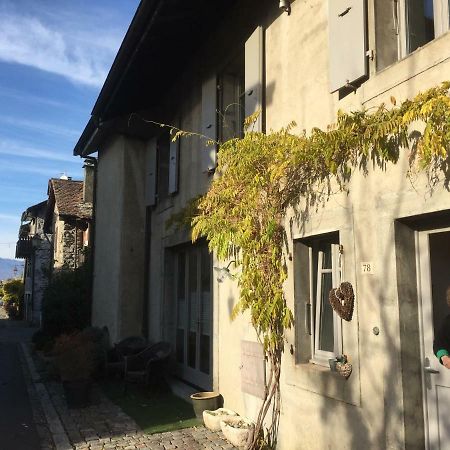 Maison Rouge Cacahuete Bed and Breakfast Nernier Esterno foto